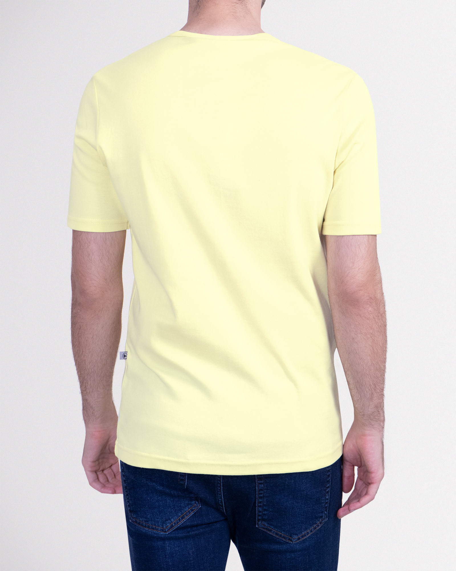 خرید تیشرت آستین کوتاه مردانه ساده لیمویی روشن 20195102
